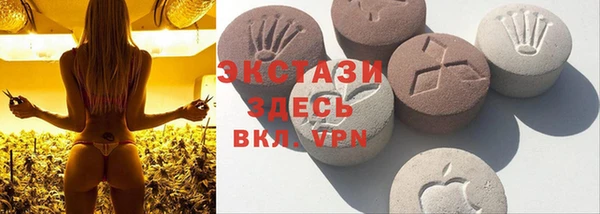 сатива Белокуриха