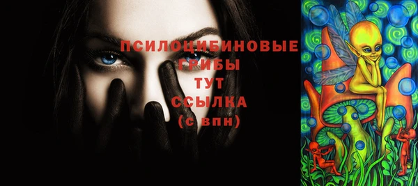 сатива Белокуриха
