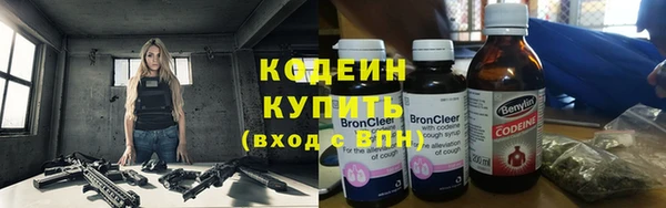 сатива Белокуриха