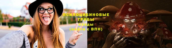 сатива Белокуриха