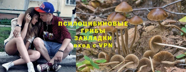 сатива Белокуриха