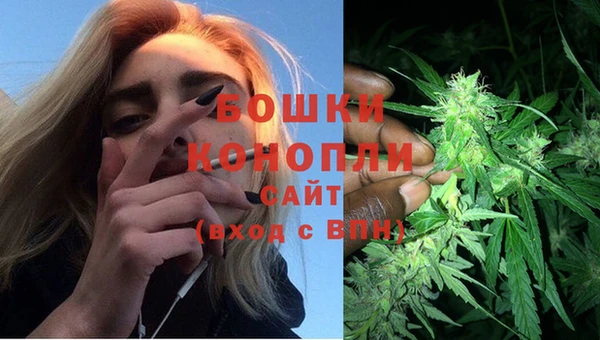 spice Беломорск
