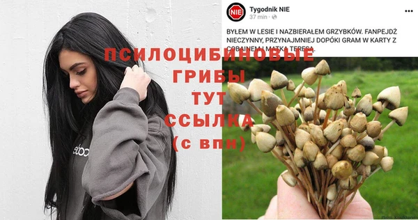 spice Беломорск
