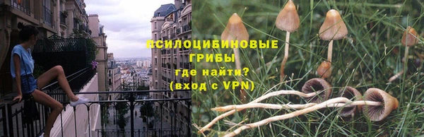сатива Белокуриха