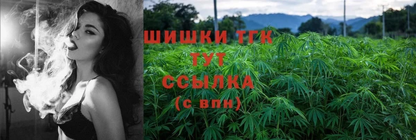 сатива Белокуриха