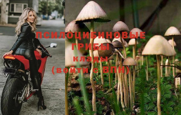spice Беломорск