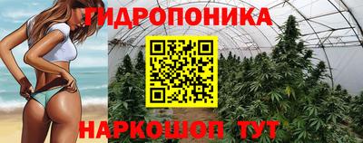 сатива Гусиноозёрск